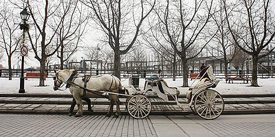 Montreal Coach and Horses